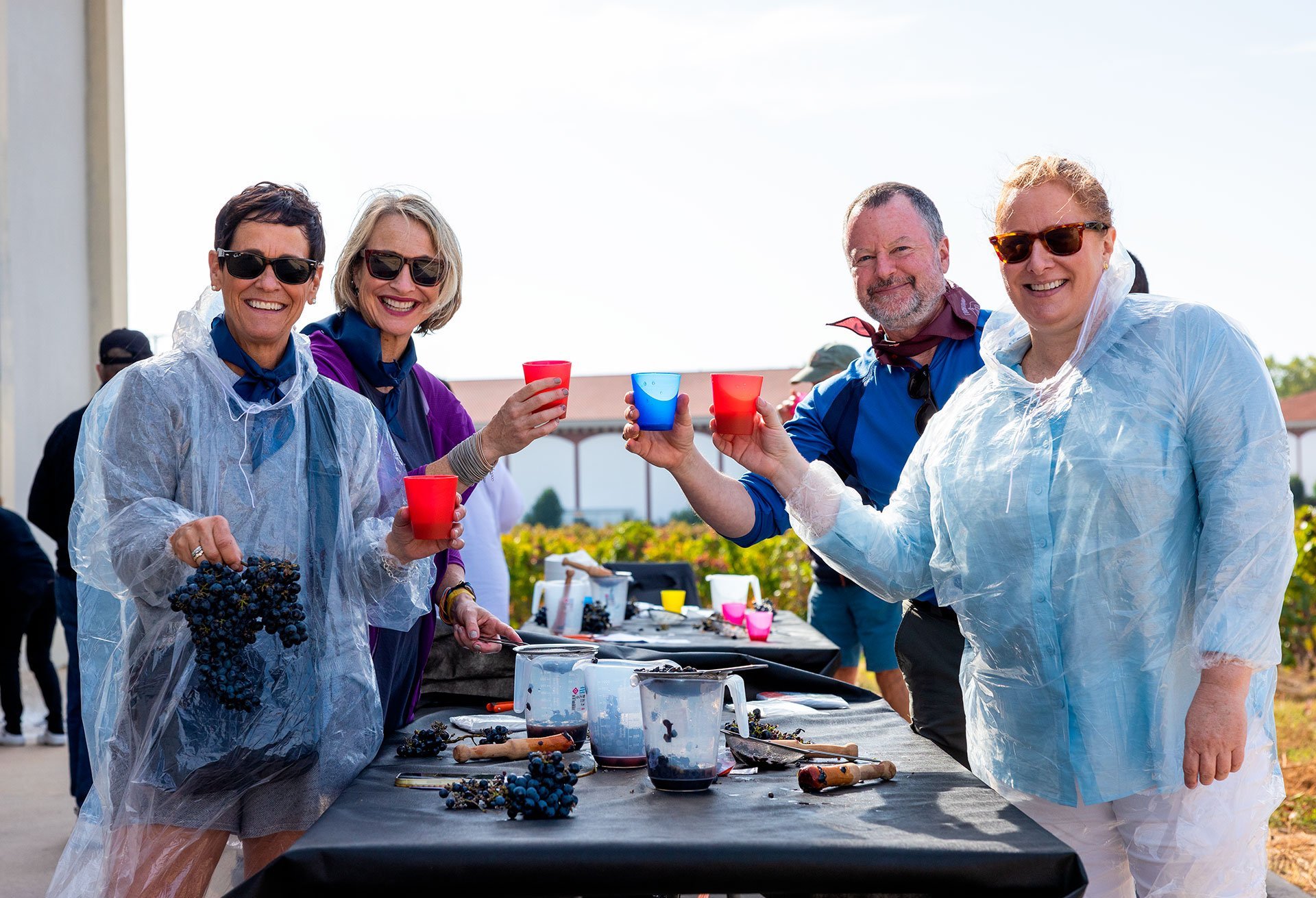 Tailor Made Private Wine Tourism Experiences in Rioja