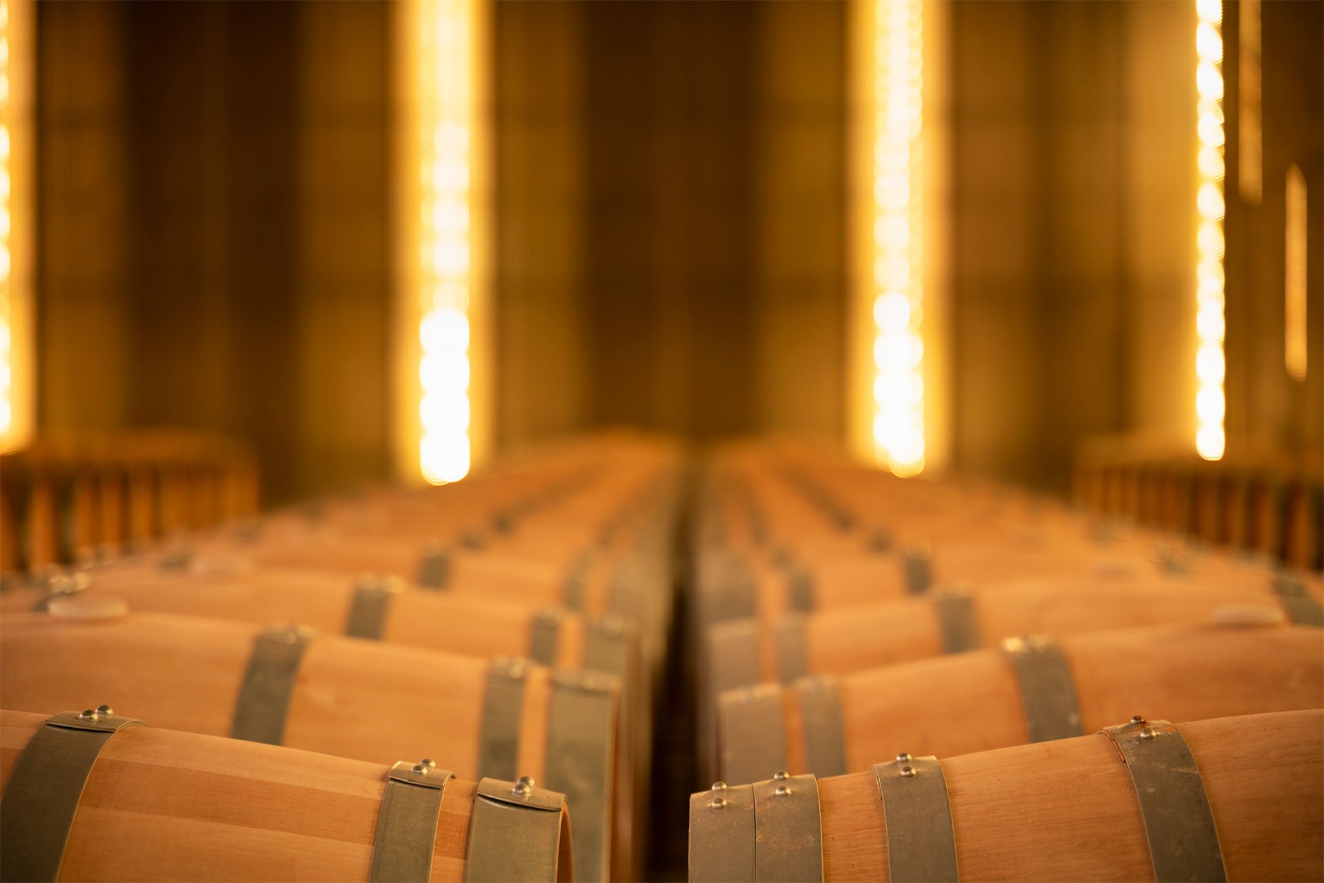 Home 5 Winery Tour Experience Valdemar Wines Online